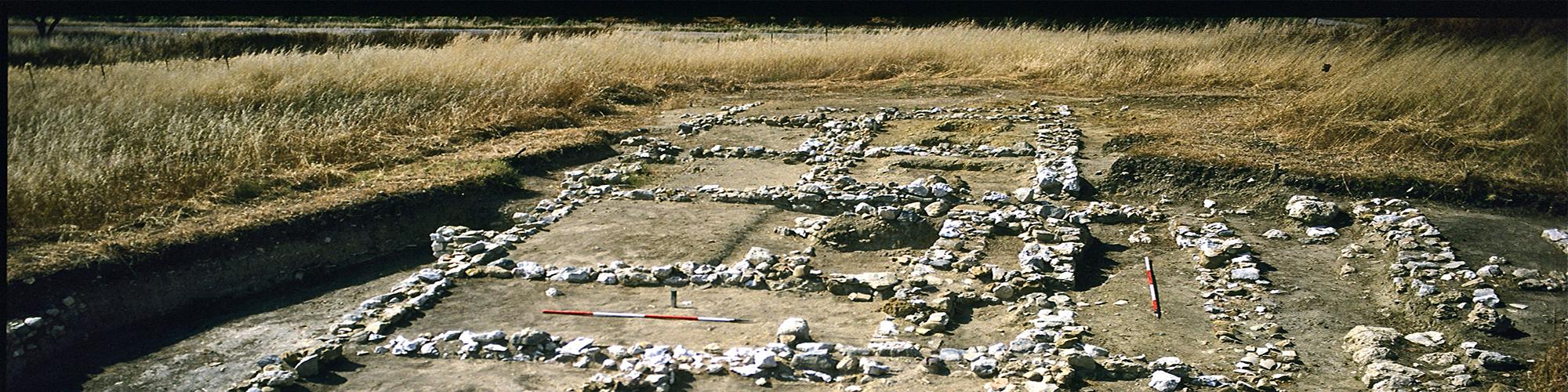 Campanaio: area C (Wilson 2001, fig. 11)